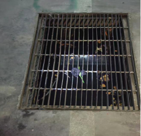 1775524885378163.png image.png