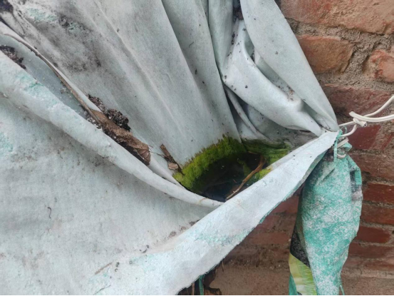 1775524914638720.png image.png